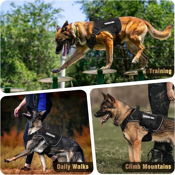 2X Metal Buckle Service Working MOLLE Dog Vest with 10 Pet Patches | Tactical Dog Harness for Large Dog, No-pull Military Working Vest for Training Hunting Walking，2x D Rings for Leash Clip - Image 9