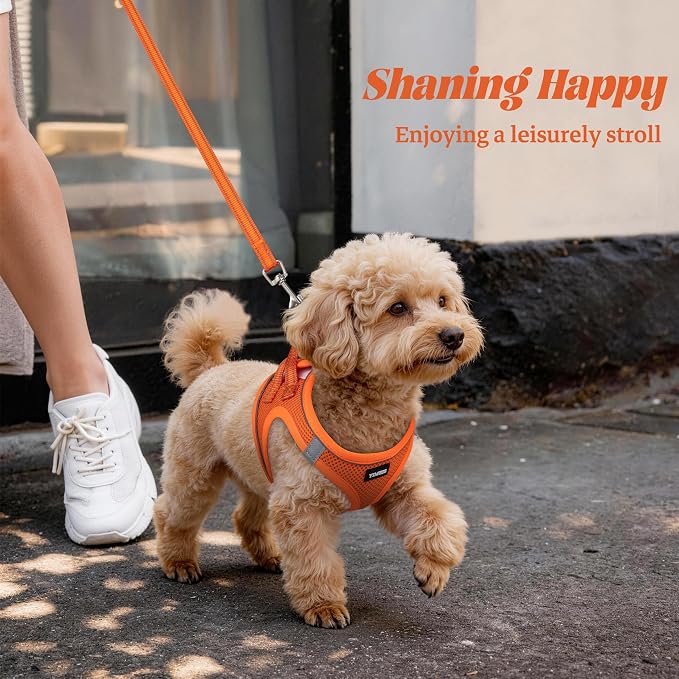 No Pull Dog Puppy Harness and Leash Set Reflective Mesh Vest Large - Image 6