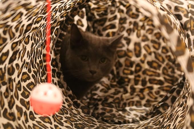 3 Way Cat Tunnel. Extra Large 12 Inch Diameter and Extra Long. A Big Collapsible Play Toy. Wide Pet Tunnel Tube for Rabbits, Kittens, Large Cats, and Dogs (Animal Print) - Image 3