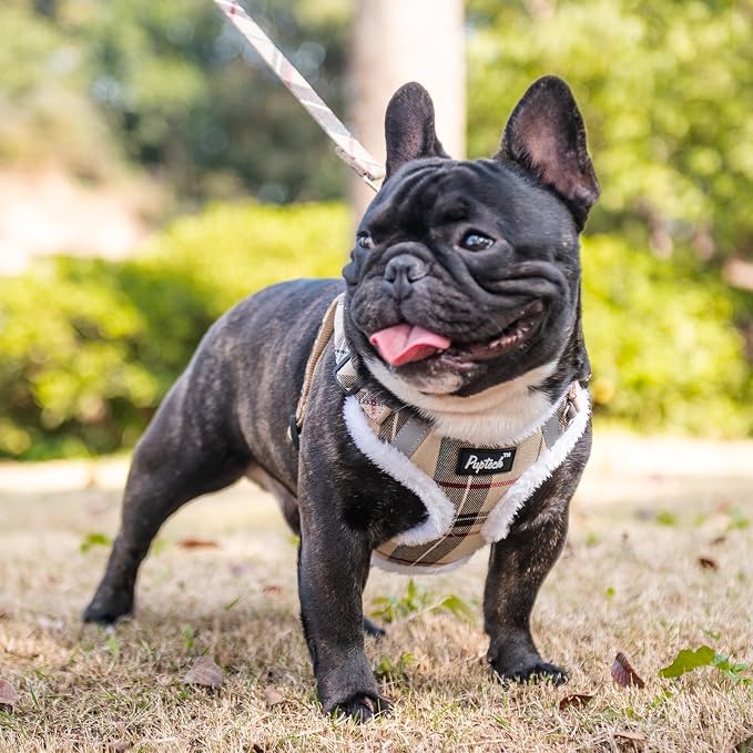 PUPTECK Dog Harness and Leash Set Medium Sized, Step in No Pull Adjustable Puppy Cat Harness Reflective Pet Vest - Image 5