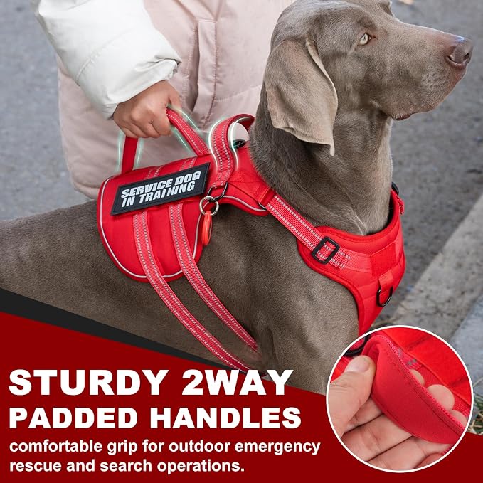 Service Dog Harness + ID Tag 50 ADA Information Cards - No Pull Dog Vest 10 PCS Removable Patches - Reflective Emotional Support Animal Vest for Large Dogs - Adjustable Breathable ESA Training Vest - Image 8