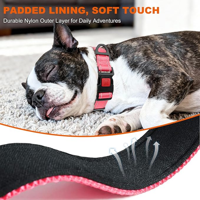 Taglory Reflective Small Dog Collar, Comfortable for Safe Night Walks, Pink | Night-Walk Visibility, Soft Neck Cushioning, Adjustable 10-16 in, Locking Buckle, D-Ring for Leash and ID Tags - Image 4