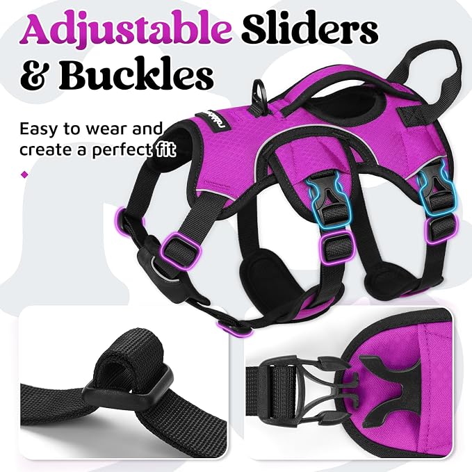 rabbitgoo Escape Proof Dog Harness for Small, No Pull with Lift Handle | No Escape, Full Soft Padded, Reflective Adjustable Vest, Leash Clip for Walking Hiking Training, Purple, Small - Image 7