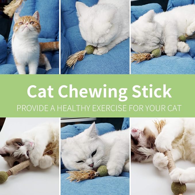 PAZ'S GIFT Catnip Toy Cat Toys Catnip Toy cat chew Toy cat Kicking silvervine Stick Teeth Cleaning Cute Kitten Teething Indoor Interactivecat Dental Care Matatabi (Catnip Balls) - Image 5