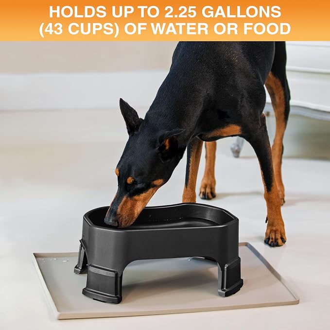 Neater Pet Brands Extra Large Water Bowl for Dogs, Elevated Outdoor Dog Water Bowl (2.25 Gallon XL Capacity), Big Trough Style Food Dish for Indoors or Outside, No Spill Large Dog Bowls, Black - Image 2