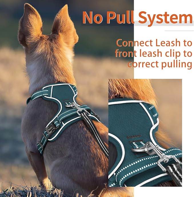 HEELE Dog Harness for Small Dogs No Pull Dog Vest Harness for Small Dog with Soft Padded Handle Reflective for Outdoor Training, Blackish Green, S | No Choke with Control Handle, Soft Breathable Padded Pet Vest, Adjustable, Reflective Front Clip Vest f... - Image 5