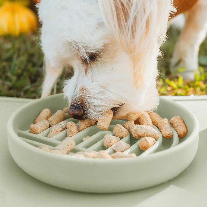 Should We Go? Slow Feeder Dog Bowls - Small Size Silicone Slow Eating Dog Bowl for Puppies & Dogs with Suction Cup -Dishwasher-Safe, Lick Mat Design, Reduces Gulping, for All Breeds, 6”x1.25”- Sage - Image 5