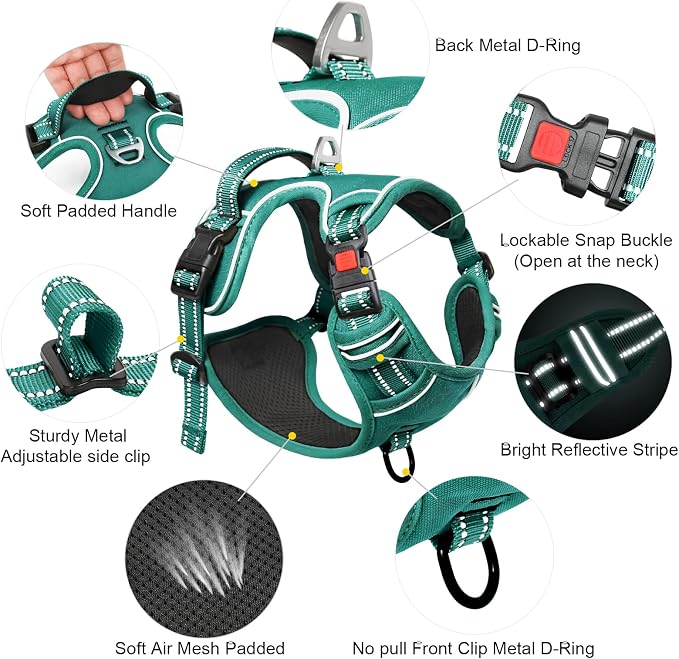 Timos Small Dog Harness, No Pull No Choke, Easy On & Off, Grass Green, S | Adjustable Reflective Soft Padded, Neck Quick Release with 3 Buckles, Front & Back 2 Clips and Handle for Walking Training - Image 4