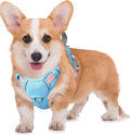 BARKBAY No Pull Dog Harness Large Reflective Dog Harness with Front Clip and Easy Control Handle for Walking Training Running with ID tag Pocket(Baby Blue & Baby Pink,M) by BARKBAY