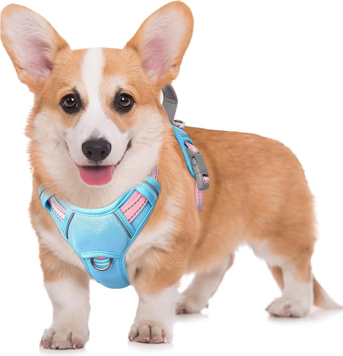 BARKBAY No Pull Dog Harness Large Reflective Dog Harness with Front Clip and Easy Control Handle for Walking Training Running with ID tag Pocket(Baby Blue & Baby Pink,M) by BARKBAY