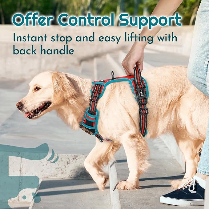 Eagloo Dog Harness No Pull for Small Dogs, Easy On & Off with 3 Buckles | No Choke with Front Clip, Adjustable Fit, MOLLE System, Reflective Vest, Easy Control for Walking, Red & Teal, Small - Image 5