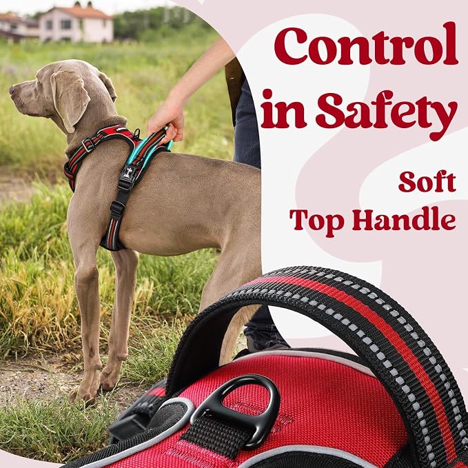 rabbitgoo Dog Harness Medium Sized, Updated Easy On & Off with 3 Buckles | No Pull No Choke, Walking with 2 Clips and Handle, Adjustable Soft Reflective, Red, Medium - Image 5