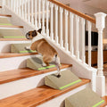 JoyBlooms Upgraded Dog Ramp for Stairs, Dog Stairs for Small Dogs (Corgi & Dachshund), 40D Foam Non-Slip, 30° Slope with Glow Strip, 13.8"x10.2"x5.9", Brown-6pcs by Home