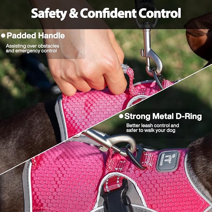 Escape Proof Dog Harness, Dachshund Harness, Reflective Dog Harness with Handle, Durable,Adjustable Vest for Small Medium Large Dogs Walking, Training, and Running Gear (Rose red,M) - Image 4
