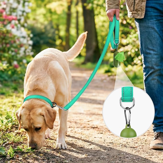 Joytale Reflective Dog Leash for Medium & Large Dogs, 5 FT x 1", Turquoise | Heavy Duty Nylon Webbing, Padded Handle for Comfort, Visible at Night, for Walking & Training - Image 2