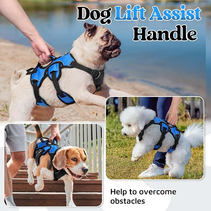 rabbitgoo Escape Proof Dog Harness for Small, No Pull with Lift Handle | No Escape, Full Soft Padded, Reflective Adjustable Vest, Leash Clip for Walking Hiking Training, Blue, Small - Image 3