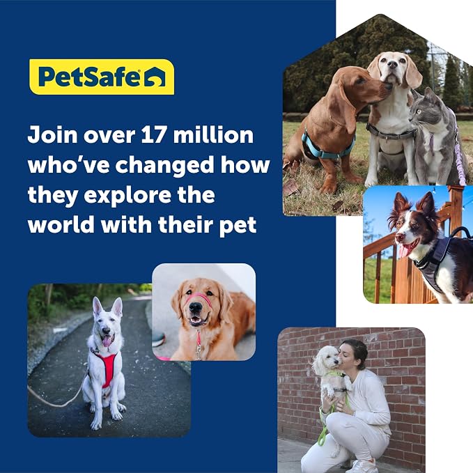 PetSafe Gentle Leader No-Pull Dog Headcollar - The Ultimate Solution to Pulling - Redirects Your Dog's Pulling for Easier Walks - Helps You Regain Control - Large, Charcoal (Pack of 6) - Image 6