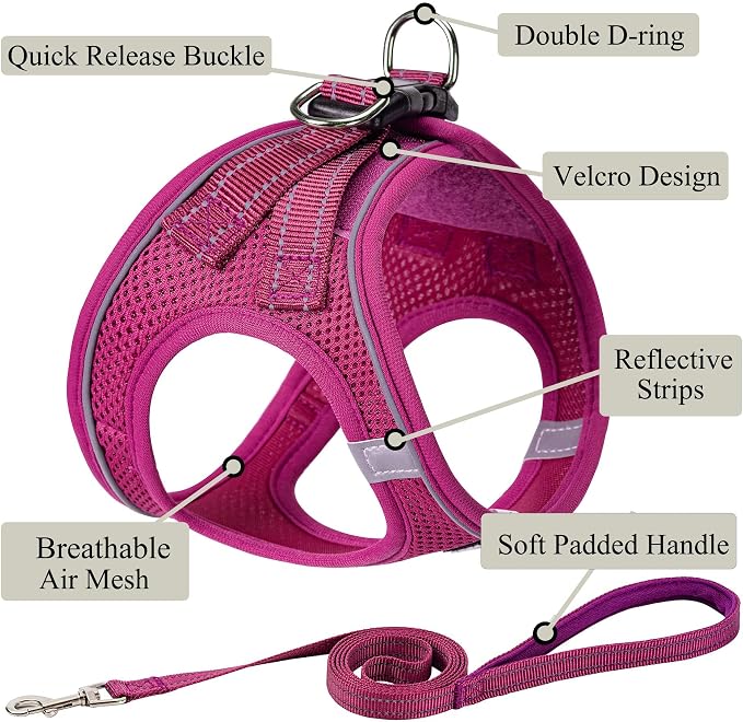 Dog Harness with Leash Set, Step-in Adjustable Puppy Vest, Rose Red S | Lightweight Breathable Air Mesh, Night Safety Reflective, No Pull Puppy Vest Harnesses for Small Medium Large Dogs, Cats - Image 2