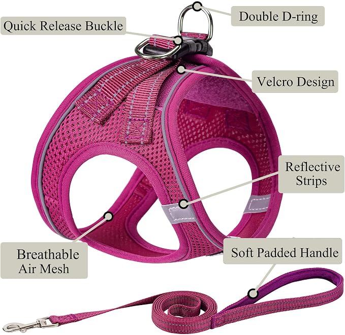 Dog Harness with Leash Set, Step-in Adjustable Puppy Vest, Rose Red XXS | Lightweight Breathable Air Mesh, Night Safety Reflective, No Pull Puppy Vest Harnesses for Small Medium Large Dogs, Cats - Image 2