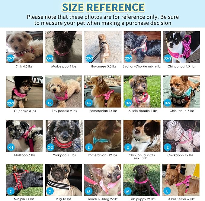 SlowTon No Pull Small Dog Harness and Leash Set with Front Clip | Soft Padded, Neck & Chest Adjustable, Lightweight, Anti-Twist, Puppy Vest Harness Pet Lead Combo for Small Medium Dog, DBL S - Image 6