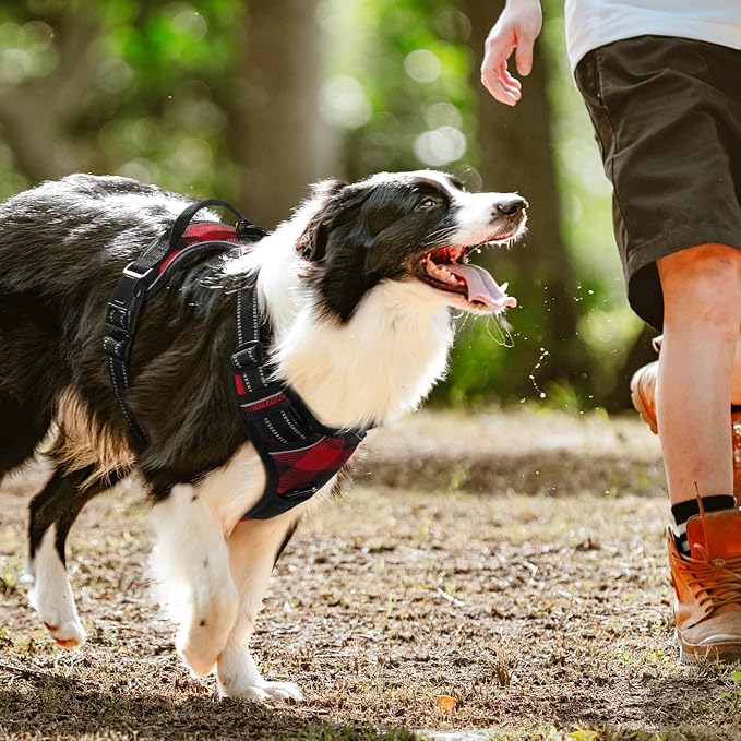 rabbitgoo Dog Harness, No Pull for Large Dogs with 2 Leash Clips, Pet Vest | No Choke with Handle, Adjustable Soft Padded, Reflective, Easy Control for Walking, Red Plaid, Small - Image 8