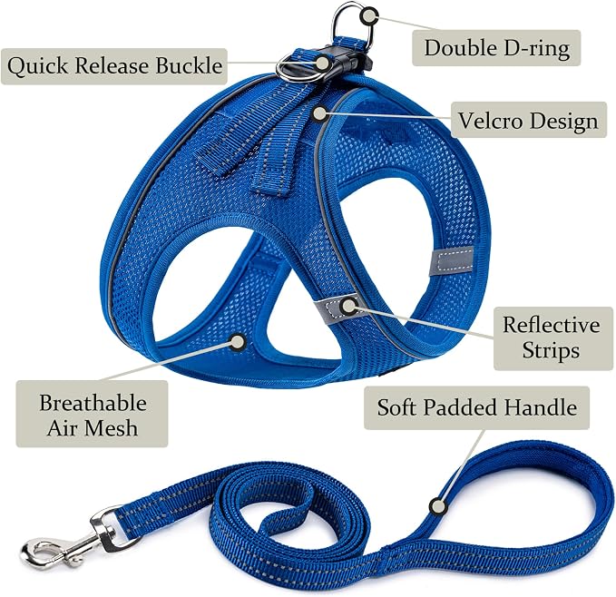 Dog Harness with Leash Set, Step-in Adjustable Puppy Pet Vest, Blue XXS | Lightweight Breathable Air Mesh, Night Safety Reflective, No Pull Puppy Vest Harnesses for Small Medium Large Dogs, Cats - Image 2