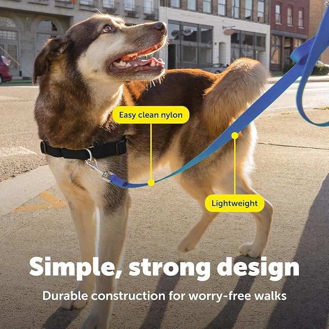 PetSafe Nylon Dog Leash - Strong, Durable, Traditional Style Leash with Easy to Use Bolt Snap - 1 in. x 6 ft., Royal Blue | Durable Nylon Leash with Easy on/off Bolt Snap Hook, Pairs Perfectly with Easy Walk Harness and Gentle Leader Headcollar - Image 4