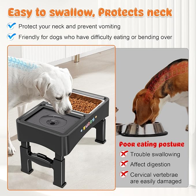 Decflow 2-in-1 Elevated Dog Bowls with 4 Height Adjustable Raised Stand | 304 Stainless Steel Dog Food Bowl, No Spill Water Bowl, DIY Stickers, Anti-Slip Pet Feeder Set for Small, Medium & Large Dogs - Image 3