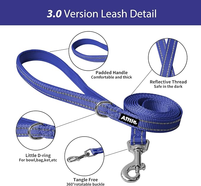 AIITLE Dog Harness and Leash Set, Step-in Puppy Pet Vest, Royal Blue XS | Light, Soft, Breathable Air Mesh, Escape-Proof, Easy on and Remove with Hook & Loop, Secure Reflective for Walking - Image 6