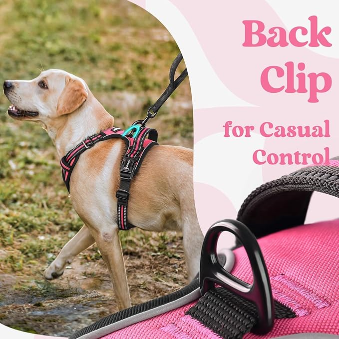 rabbitgoo Dog Harness for Large, Updated Easy On & Off with 3 Buckles | No Pull No Choke, Walking with 2 Clips and Handle, Adjustable Soft Reflective, Rose Pink, X-large - Image 5