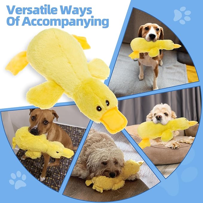 Mihachi Plush Squeaky Dog Duck Toys - Stuffed Pet Toy Duck Interactive Gifts for Dog Birthday Dogs Puppy Biting Chew Toys - for Medium and Large Dogs - Image 4