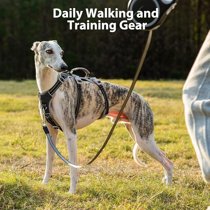 Escape Proof Dog Harness, No Pull Reflective Harness with Lift Handle, Adjustable Pet Vest with Front and Back Leash Clips for Small Medium Large Dogs Walking Hiking Training (Black,XL) - Image 7