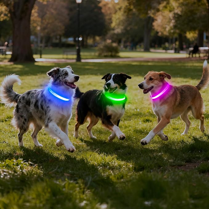 VIZPET LED Dog Collar, Light up Dog Collar Adjustable Safety Glowing Collar | USB Rechargeable Super Bright Light Collars for Dogs(Purple, X-Large[22.83-27.55 inch/58-70cm]) - Image 6