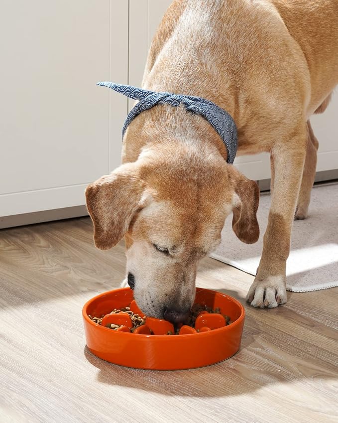 LE TAUCI Slow Feeder Dog Bowls Ceramic,3 Cups Slow Feeding Dog Bowl Medium Large Breed, Pet Bowl for Fast Eaters, Puzzle Pet Dishes,Sun Orange - Image 2