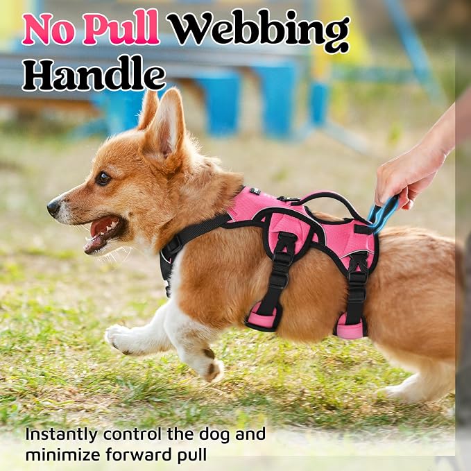 rabbitgoo Escape Proof Dog Harness for Small, No Pull with Lift Handle | No Escape, Full Soft Padded, Reflective Adjustable Vest, Leash Clip for Walking Hiking Training, Peach Pink, Small - Image 4