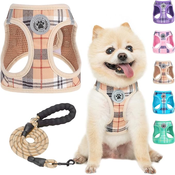 BEAUTYZOO Small Dog Harness and Leash Set, No Pull Puppy Pet Vest- Beige,XS | Step-in Easy On/Off, All Season Breathable Mesh,Escape-Proof Hook & Loop,Lightweight Reflective,No Choke,Easy Walking Control by BEAUTYZOO