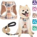 BEAUTYZOO Small Dog Harness and Leash Set, No Pull Puppy Pet Vest- Beige,XS | Step-in Easy On/Off, All Season Breathable Mesh,Escape-Proof Hook & Loop,Lightweight Reflective,No Choke,Easy Walking Control by BEAUTYZOO