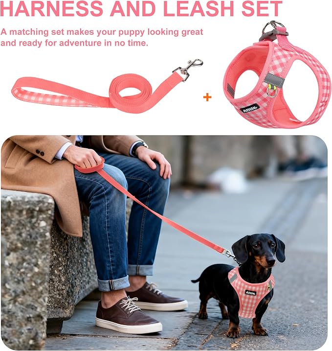 AIITLE Step in Medium Dog Harness and Leash Set, Pet Vest, Watermelon M | Breathable Mesh, Adjustable Fit, No-Pull Reflective Design, Escape Proof, for Small-Medium Dogs, Outdoor Walking, Running - Image 4