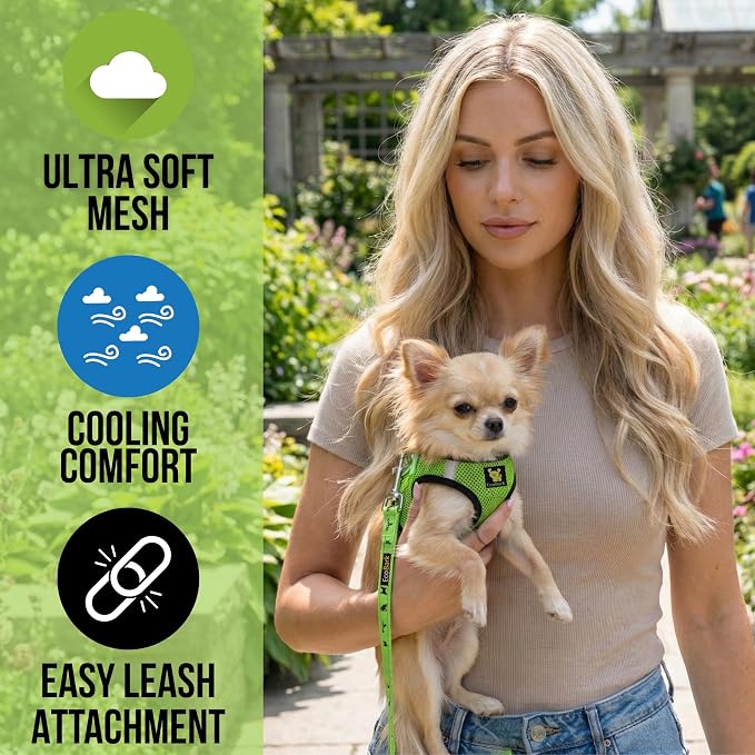 EcoBark Step in Dog Harness, Eco Friendly Teacup Dog Harness, Size XXS | Reflective & Adjustable Mini Body Halter Vest, Tiny Soft Mesh Toy Breed Harness, Neon Green, For XXS, XS & Small Dogs - Image 2
