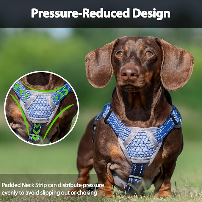 Escape Proof Dog Harness, Dachshund Harness, Reflective Dog Harness with Handle, Durable,Adjustable Vest for Small Medium Large Dogs Walking, Training, and Running Gear (Technicolor Blue,S) - Image 5