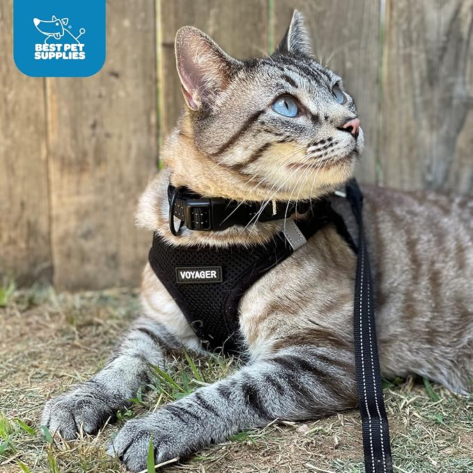Voyager Step-in Air Dog Vest Harness - Black/Pink Trim, X-Small | 13 - 14.5" in Chest, Reflective Bands, All Weather Breathable Air Mesh, Cats Compatible, Lightweight, Fast Drying - Image 10