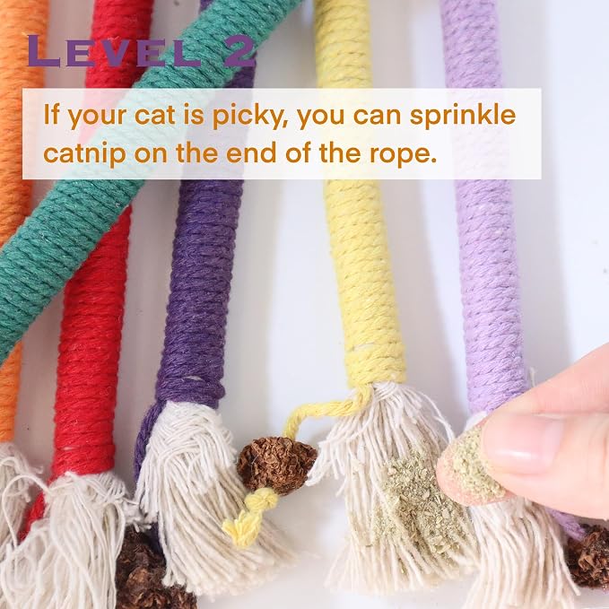 Kitten Toys, Cat Chew Toy for Teeth Cleaning, Catnip Rope Toys for Indoor Kittens, Interactive Cat Nip Teething Toys for Cats, Kitty Kicker Toy, 6 Pack (Plus 3 Pouches of Catnip) - Image 4