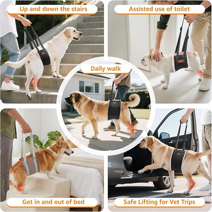 LOOBANI Dog Lift Harness for Large Dogs Hind Leg Support for Weak Rear Legs | Walking & Stair Assistance, Senior Dog Mobility, Padded Comfort, Adjustable Fit, Lightweight Nylon, Soft Plush Lining - Image 8