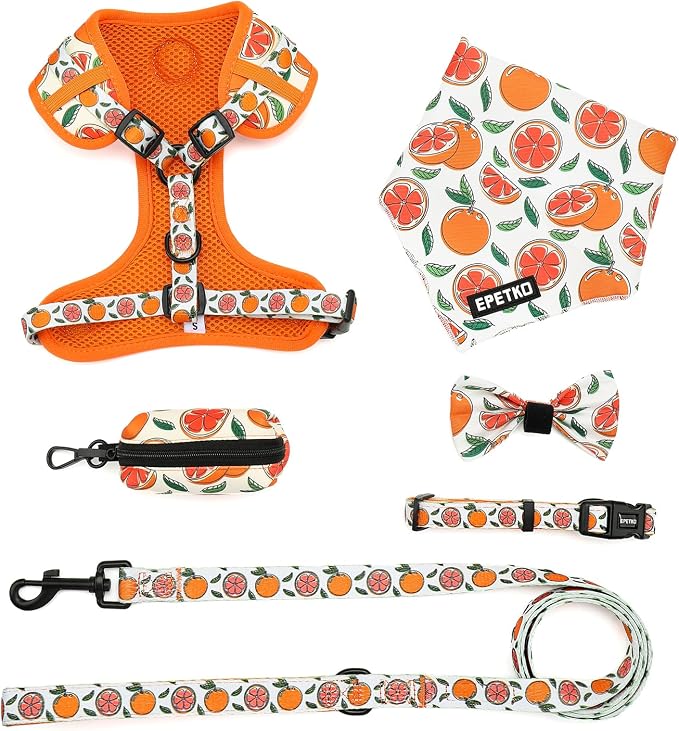 Small Dog Harness and Leash Set of 6, No Pull Soft Lightweight Mesh Puppy Harness， Adjustable Cute Floral Pattern Pet Harness for Small Medium Dogs (Orange, S) - Image 2