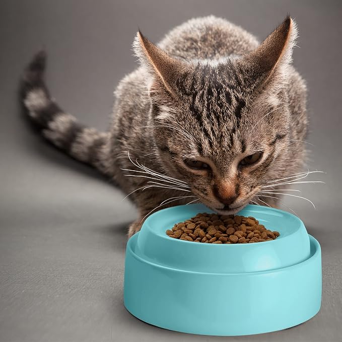 CatGuru Cat Bowls, Whisker Friendly Food Bowl for Indoor Cats, Reliefs Whisker Fatigue, Wide Kitten Dish, Non Slip Pet Dishes, Shallow Pet Plates (Aruba, (Pack of 2)) - Image 5
