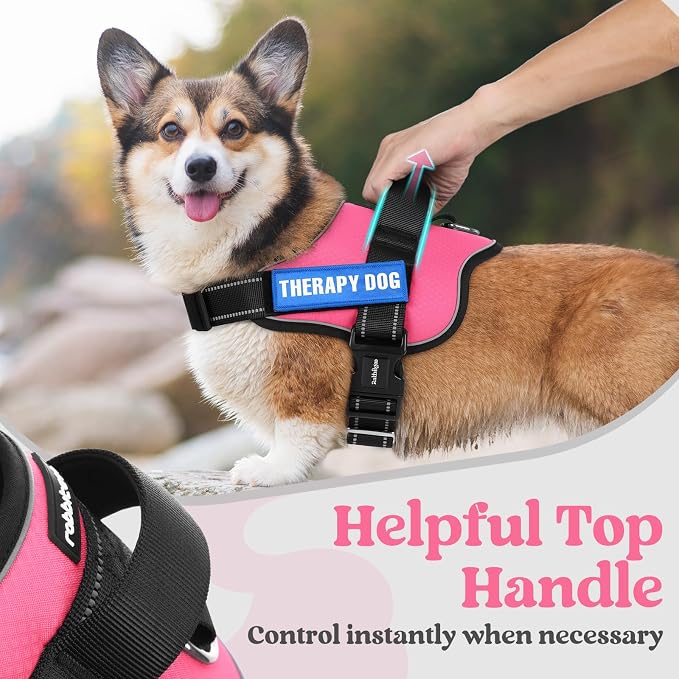 rabbitgoo Dog Harness for Small, Easy On Pet Vest with One Buckle, No Pull Adjustable Service Harness with D-Ring & Handle, Reflective for Safety Walking, Training, Pink, S - Image 5