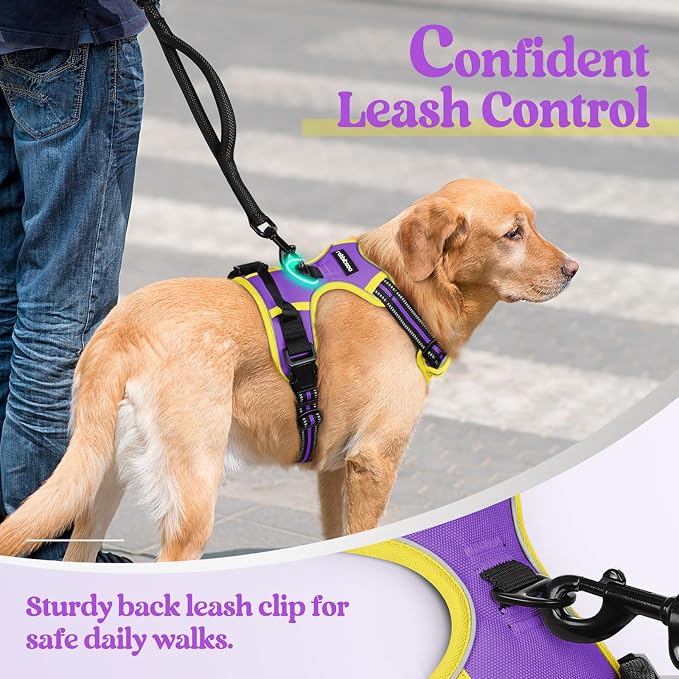 rabbitgoo Dog Harness, No Pull for Small Dogs with 2 Leash Clips, Pet Vest | No Choke with Handle, Adjustable Soft Padded, Reflective, Easy Control for Walking, Purple & Yellow, Small - Image 6