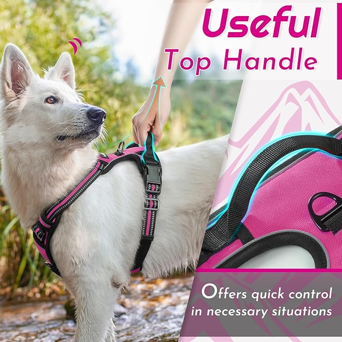 Eagloo Dog Harness for Large Dogs, No Pull Pet Vest with 2 Leash Clips | No Choke with Handle, Adjustable Comfort Fit, Reflective Strips, Easy Walking Control, Rose Red, X-Large - Image 4