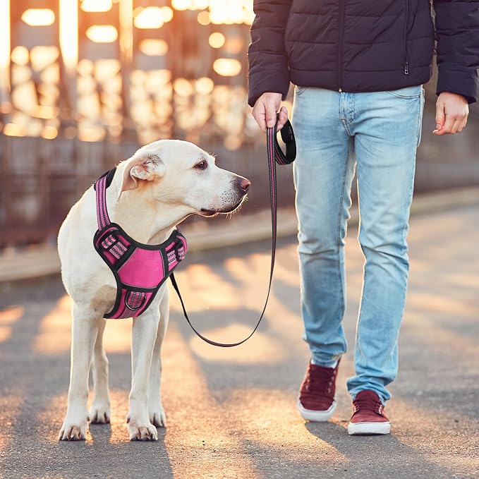 BUMBIN Dog Harness for Large Dogs, No Pull Adjustable No Choke Pet Vest with Dog Leash Fit Smart Reflective Pet Walking Harness for Training Easy Control Soft Handle Rose Red M - Image 6