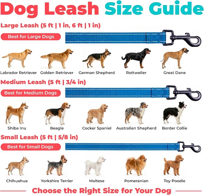 Best Pet Supplies Voyager Nylon Dog Leash - Royal Blue, Medium | 5ft in Length, 3/4" in Width, Reflective, Soft Neoprene Handle, Heavy Duty Metal Clips for Running, Walking & Training - Image 6